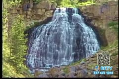 TV Content Image